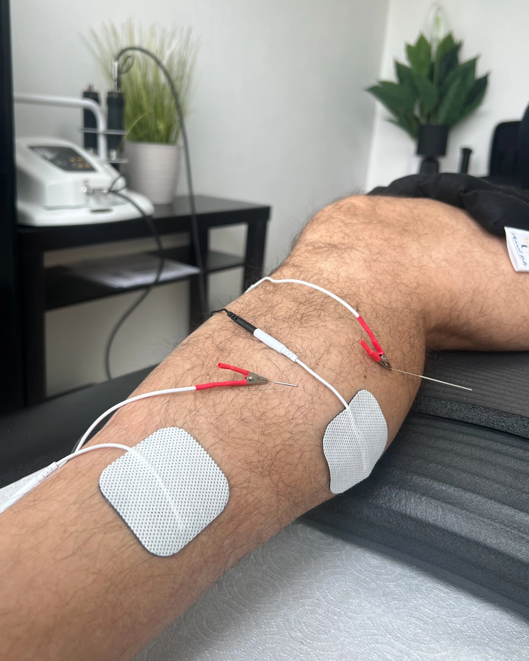 fisio-nuevo-1